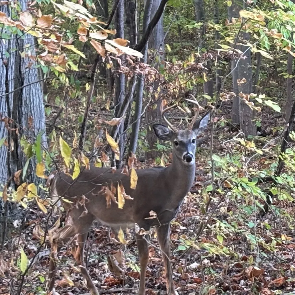 genxjennifer.bsky.social's profile picture