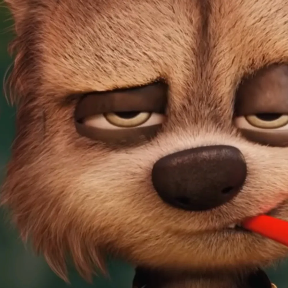 joeaconite.com's profile picture