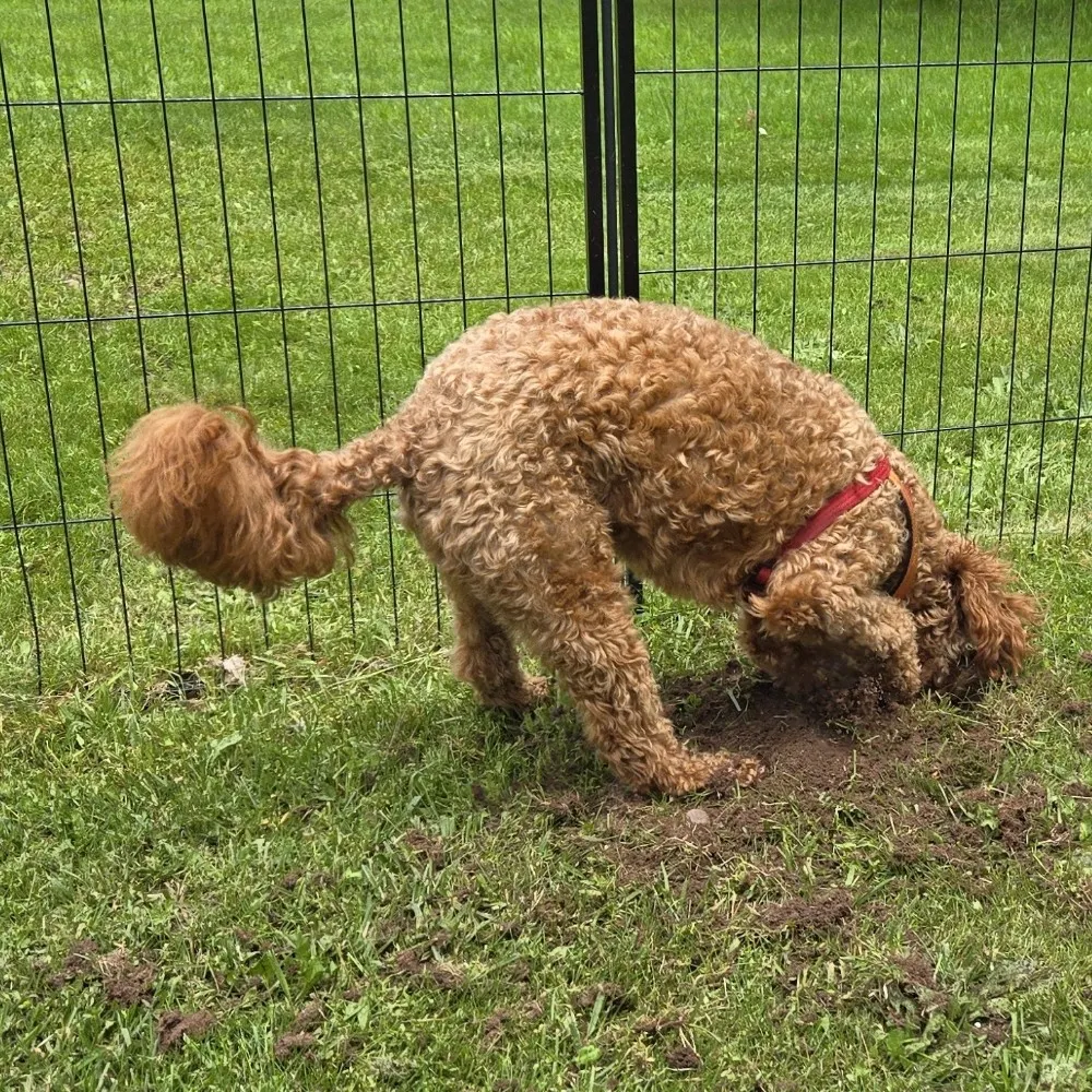 kellya906.bsky.social's profile picture