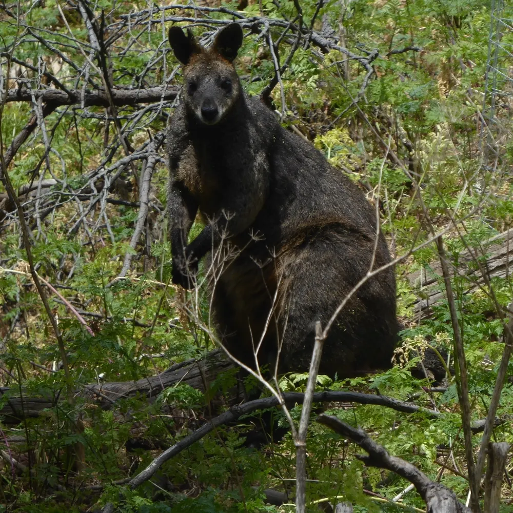 freedariviera.bsky.social's profile picture