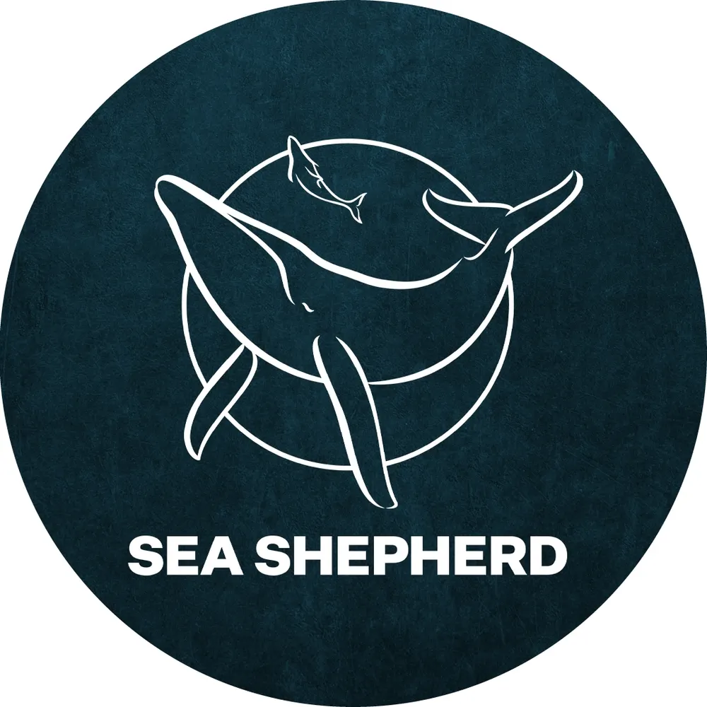 seashepherdglobal.bsky.social's profile picture