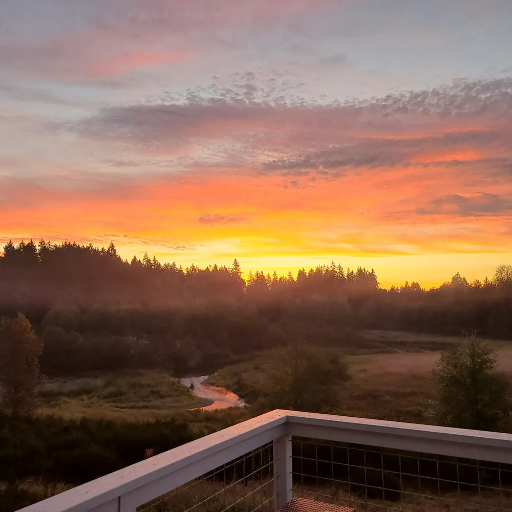 oharahoh.bsky.social's profile picture