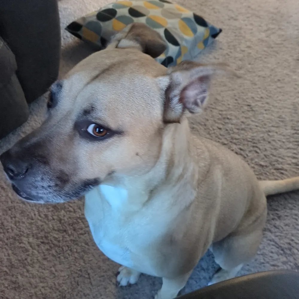 merholtz.bsky.social's profile picture