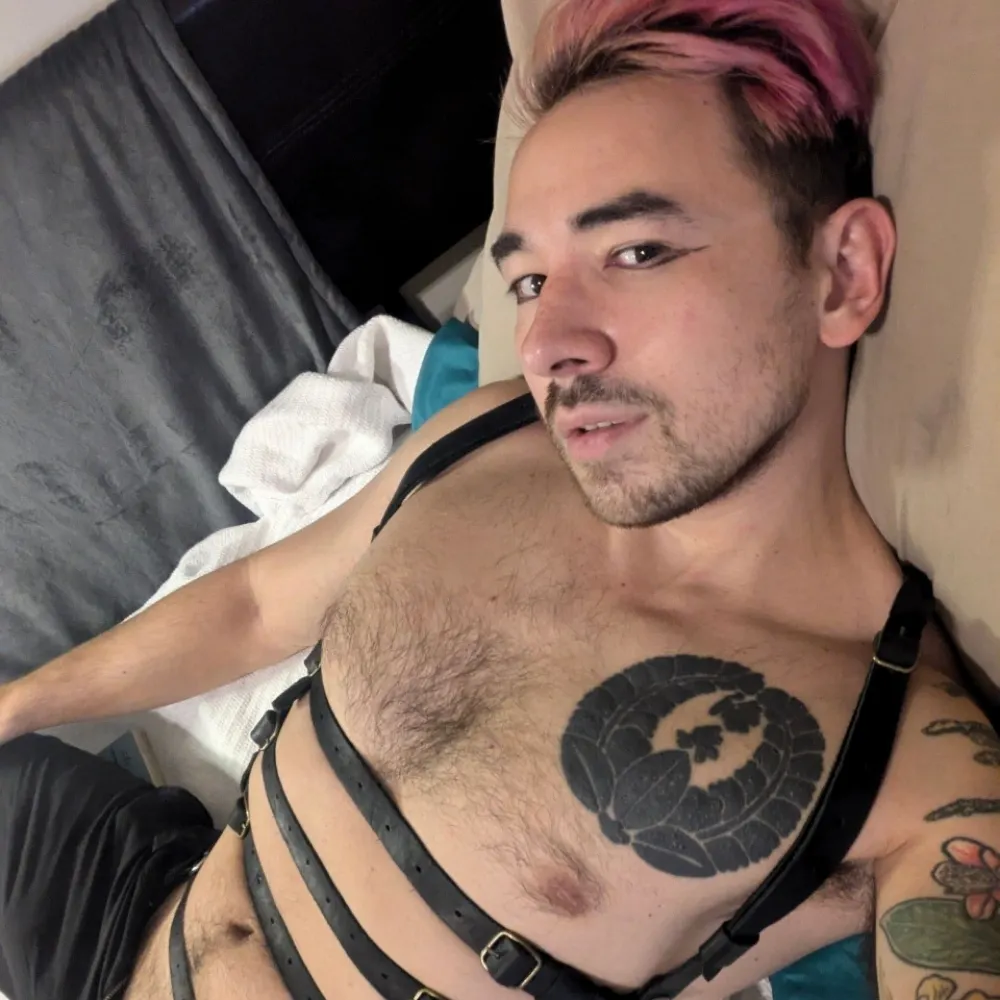 takahanazawa.bsky.social's profile picture