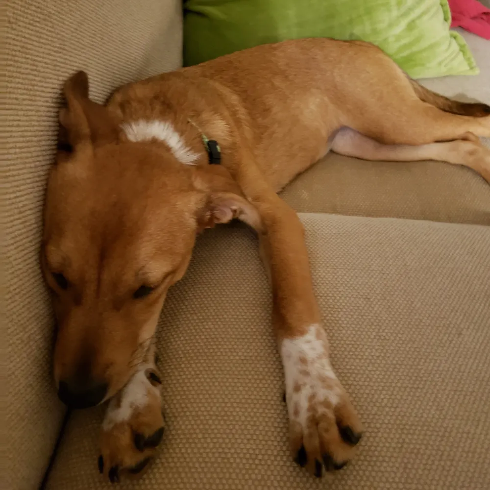 hillaryrettig.bsky.social's profile picture