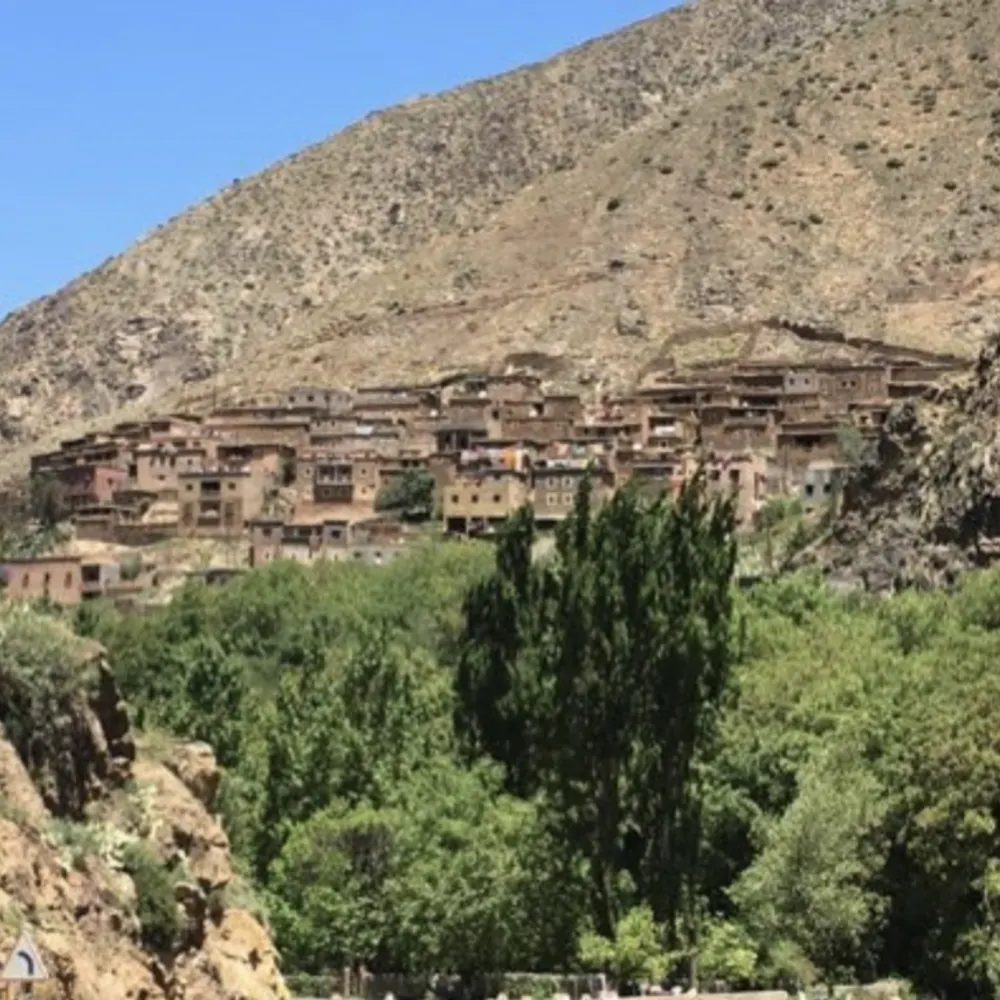 northnj.bsky.social's profile picture