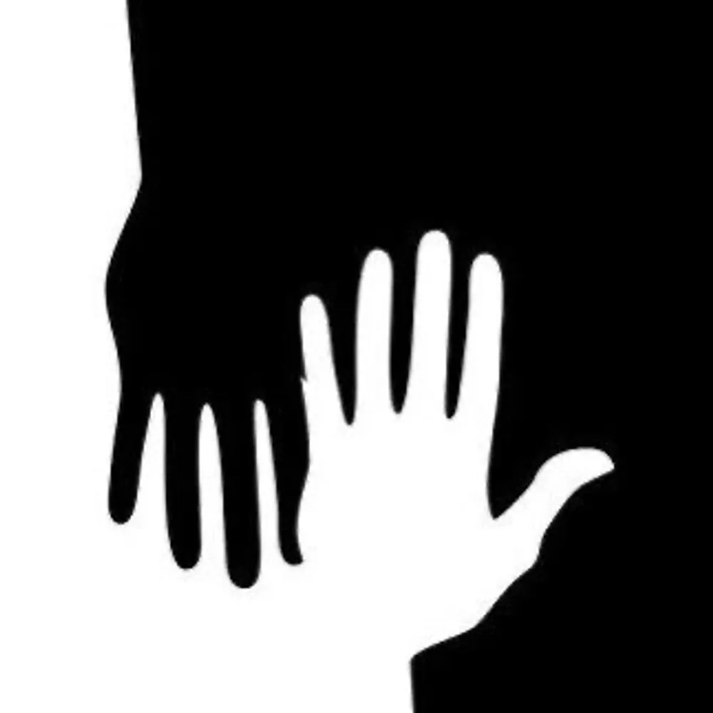 altdivide.bsky.social's profile picture