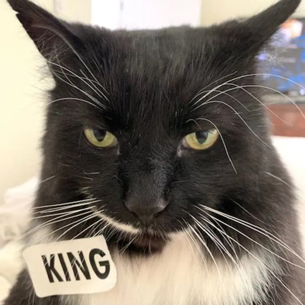 modernmaven.bsky.social's profile picture