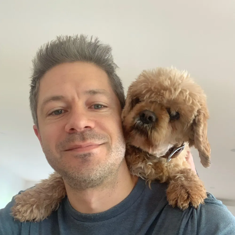 damo.bsky.social's profile picture