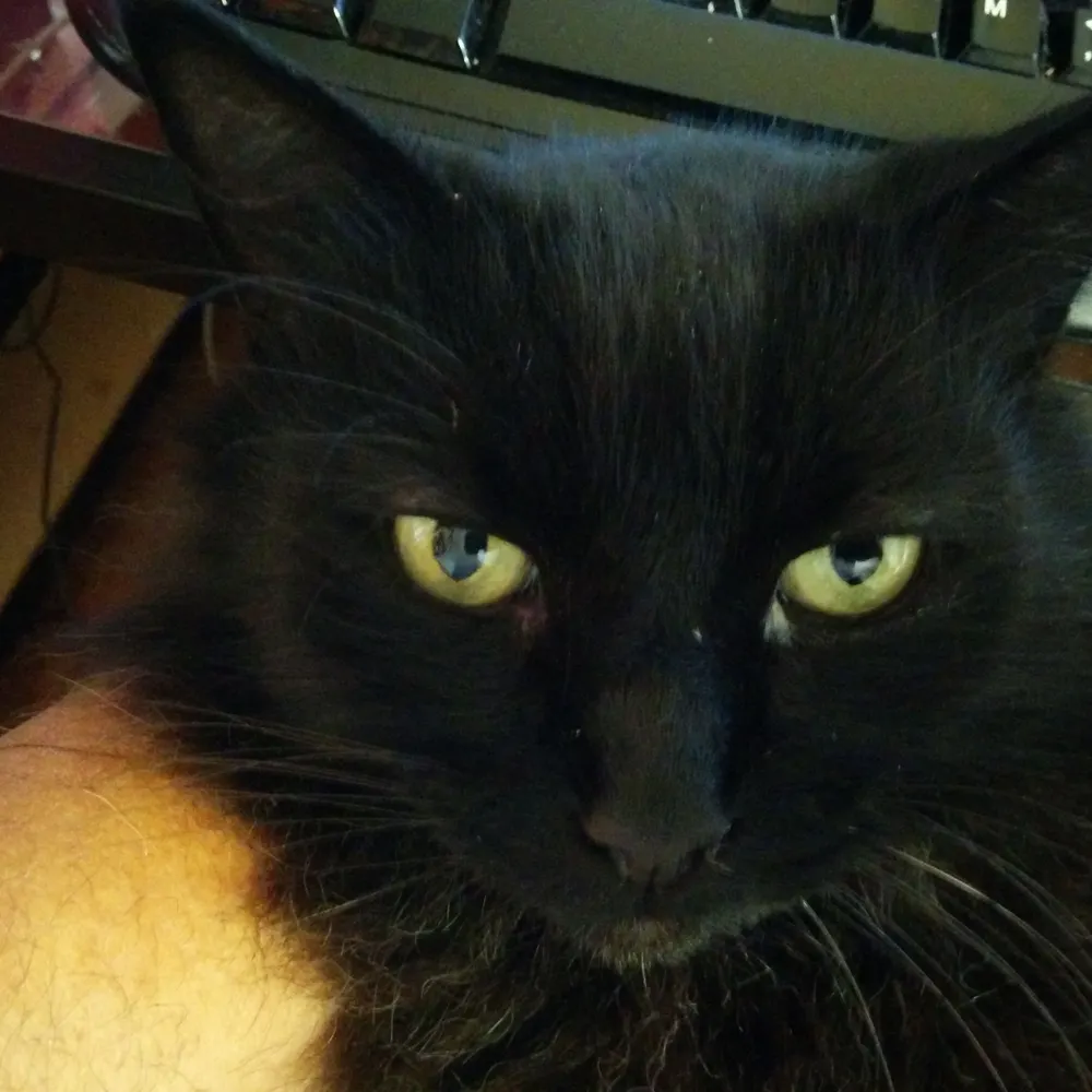 sardarji.bsky.social's profile picture