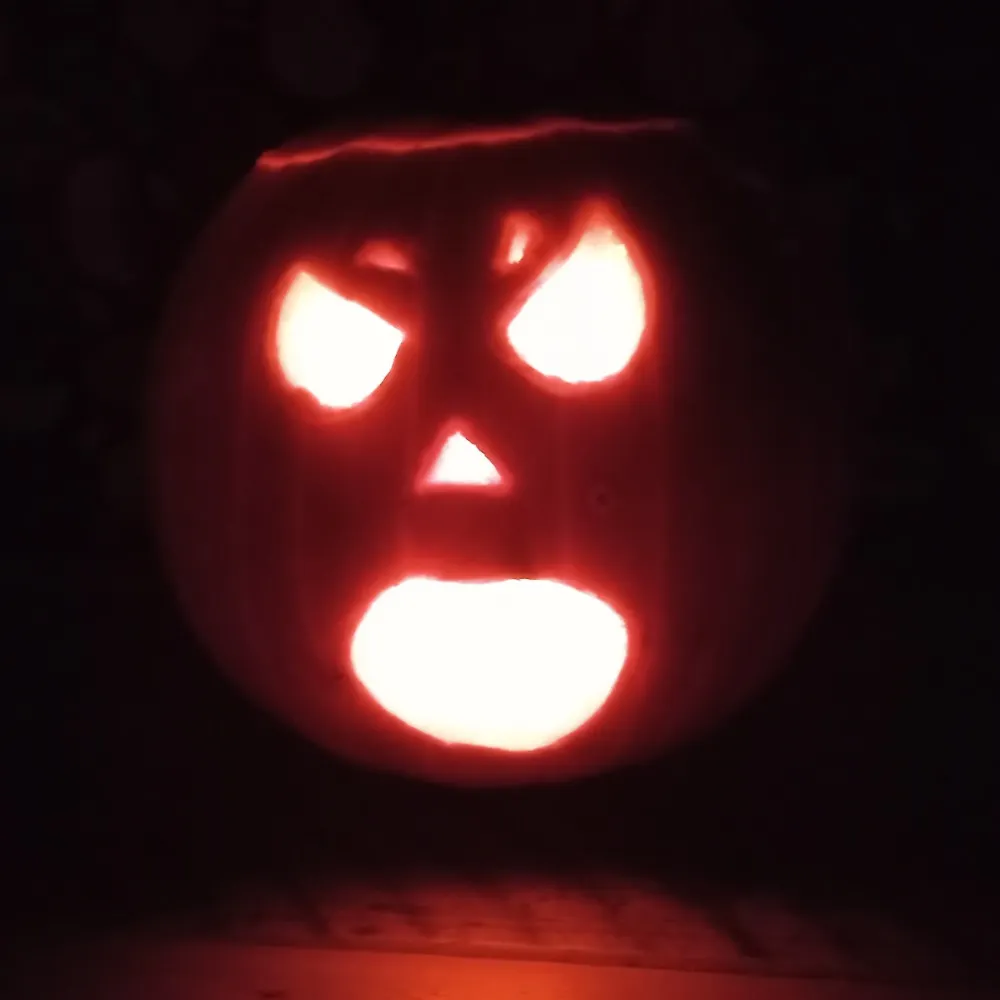 cnehpets.bsky.social's profile picture