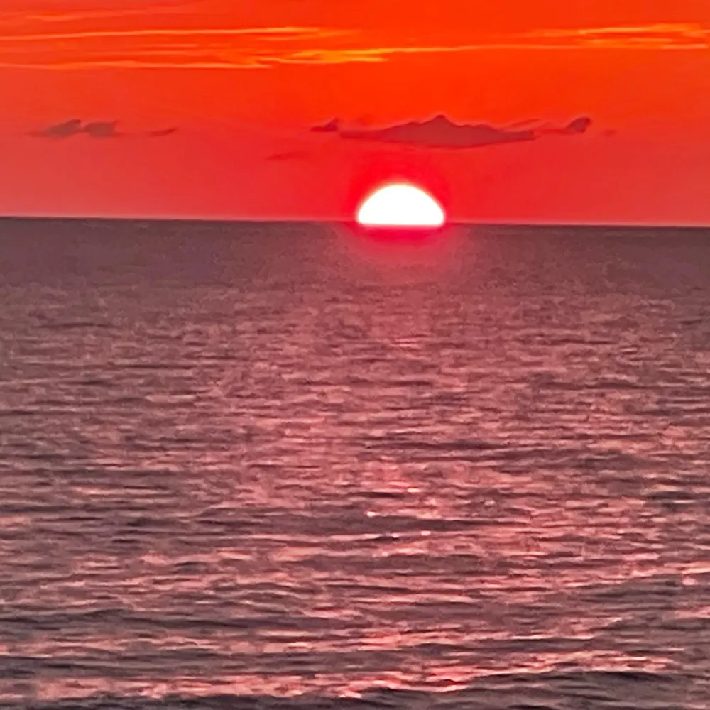 204uni.bsky.social's profile picture