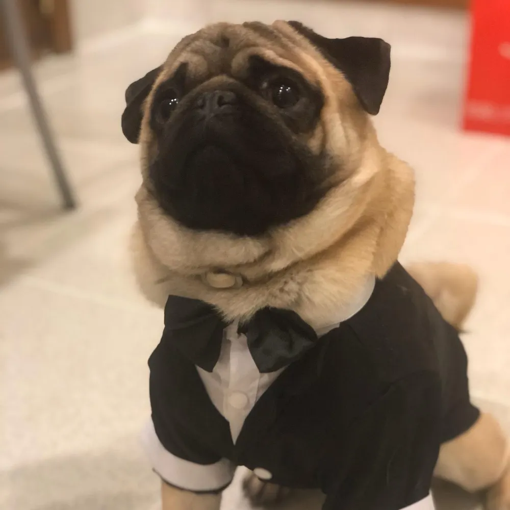 stiflerxavi.bsky.social's profile picture