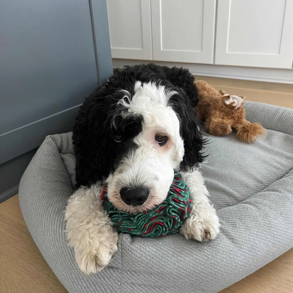 omegamatthew.bsky.social's profile picture