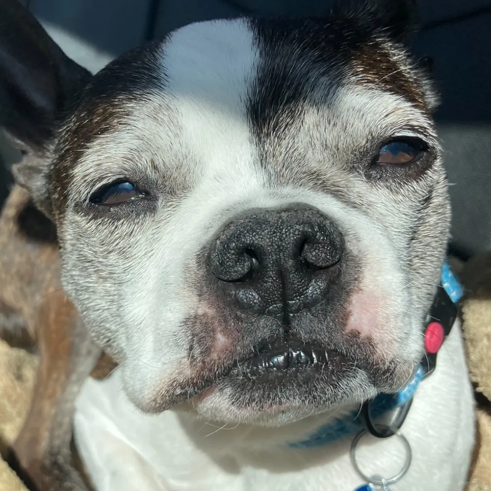 freekids.bsky.social's profile picture