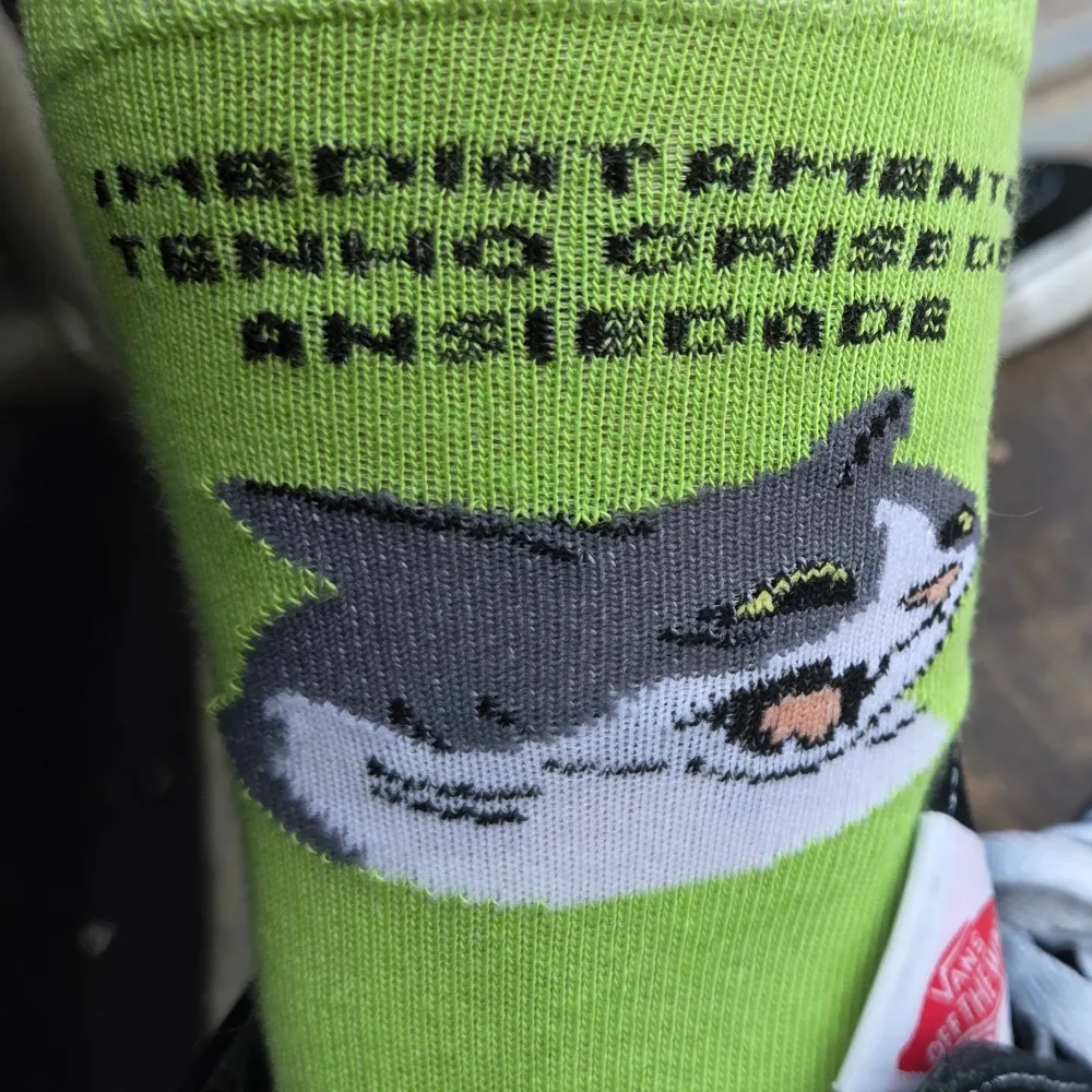 bodia.bsky.social's profile picture