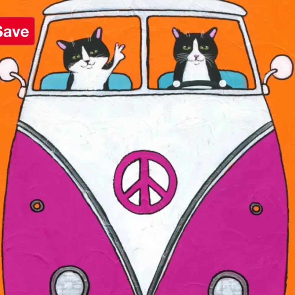 cactusflwr.bsky.social's profile picture