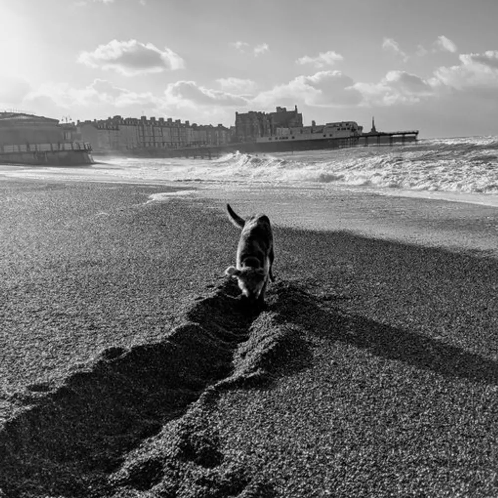 baron-of-navan.bsky.social's profile picture