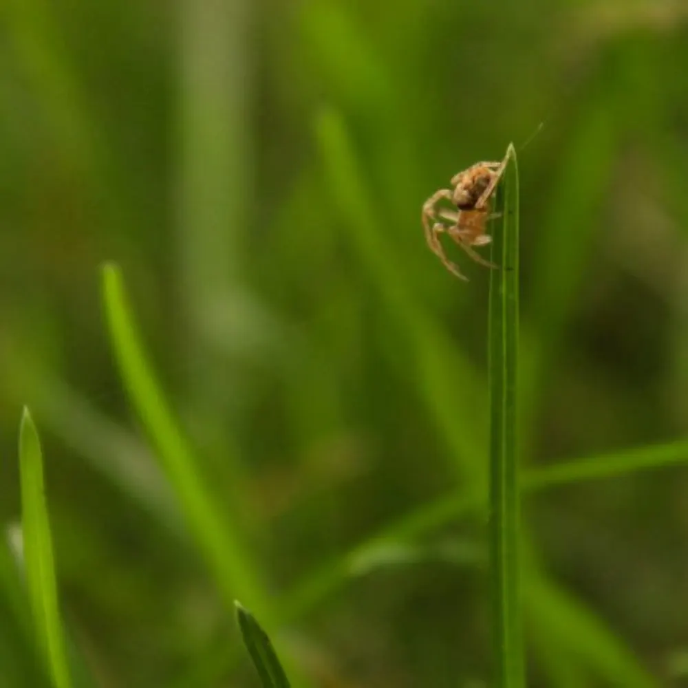 ninty900.bsky.social's profile picture