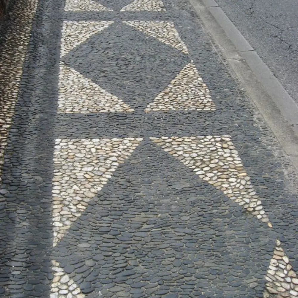 bdtekr.bsky.social's profile picture