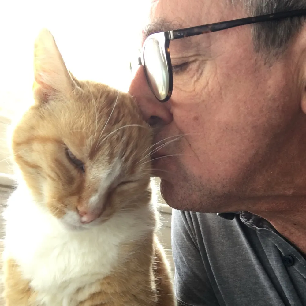 toniburgwedel.bsky.social's profile picture