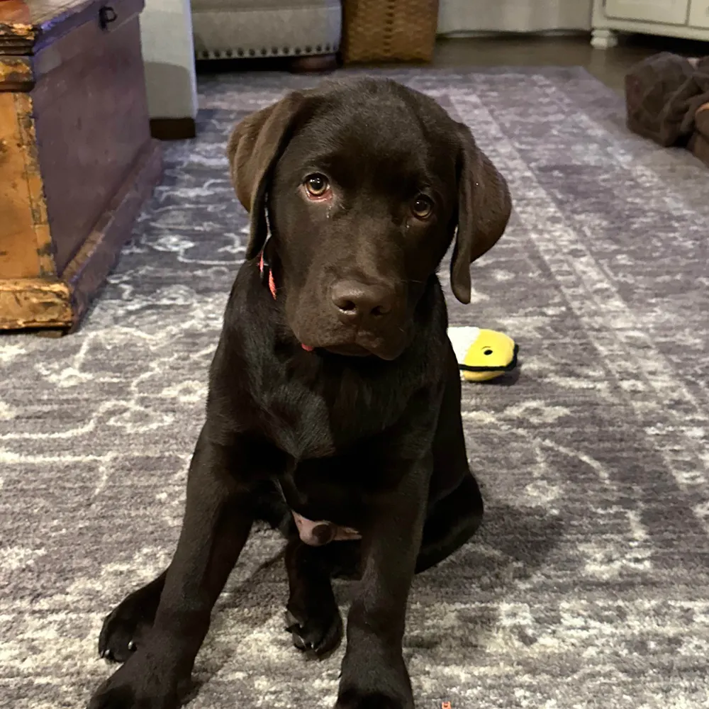 foursister7.bsky.social's profile picture