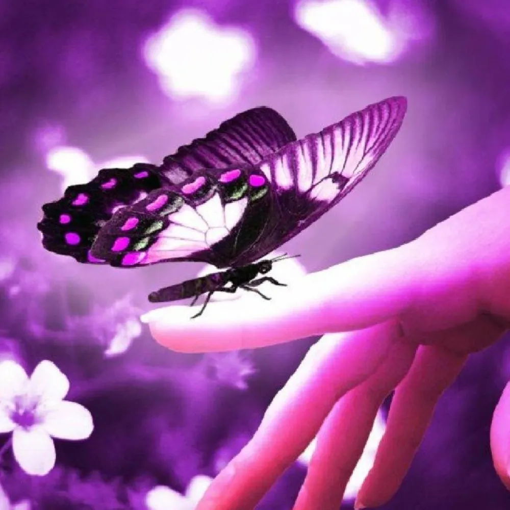 tswillow2.bsky.social's profile picture