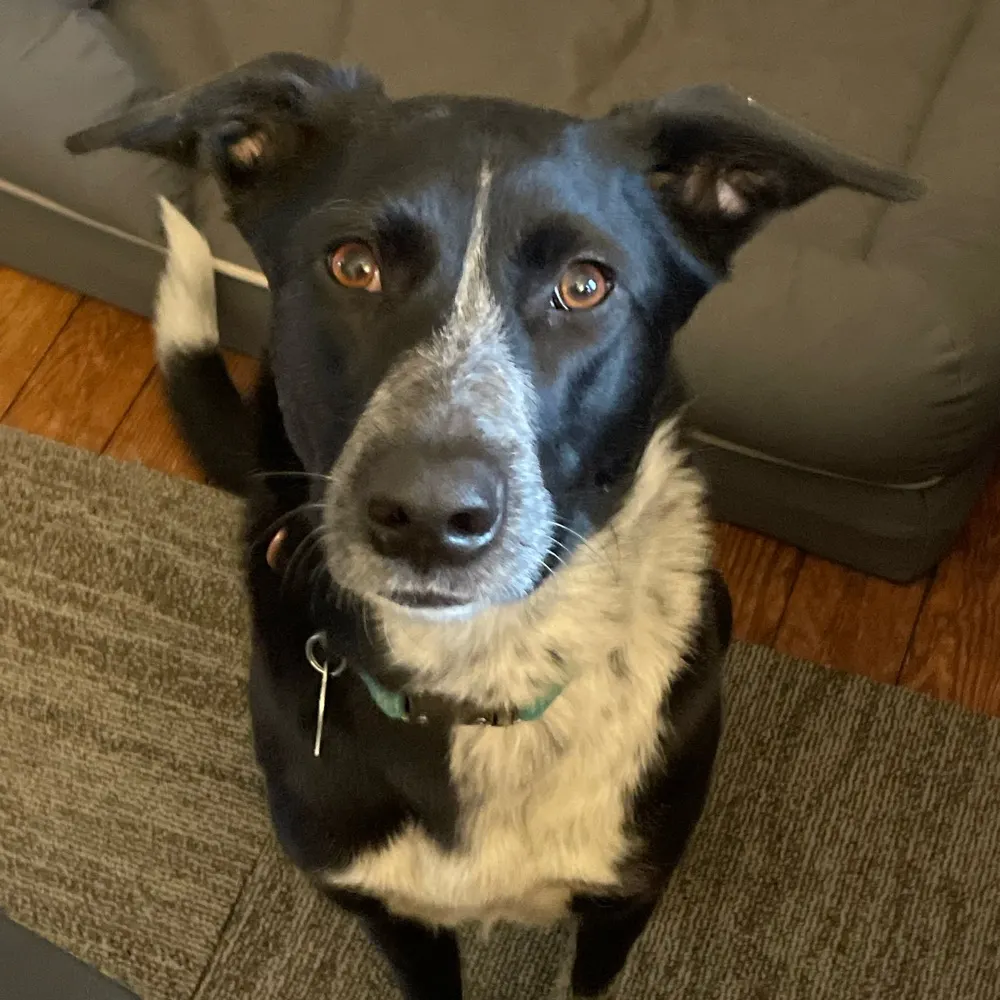 mdaly42.bsky.social's profile picture