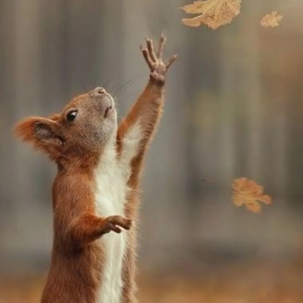 grogofgrog.bsky.social's profile picture