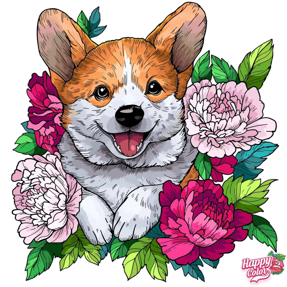 corgilover129.bsky.social's profile picture