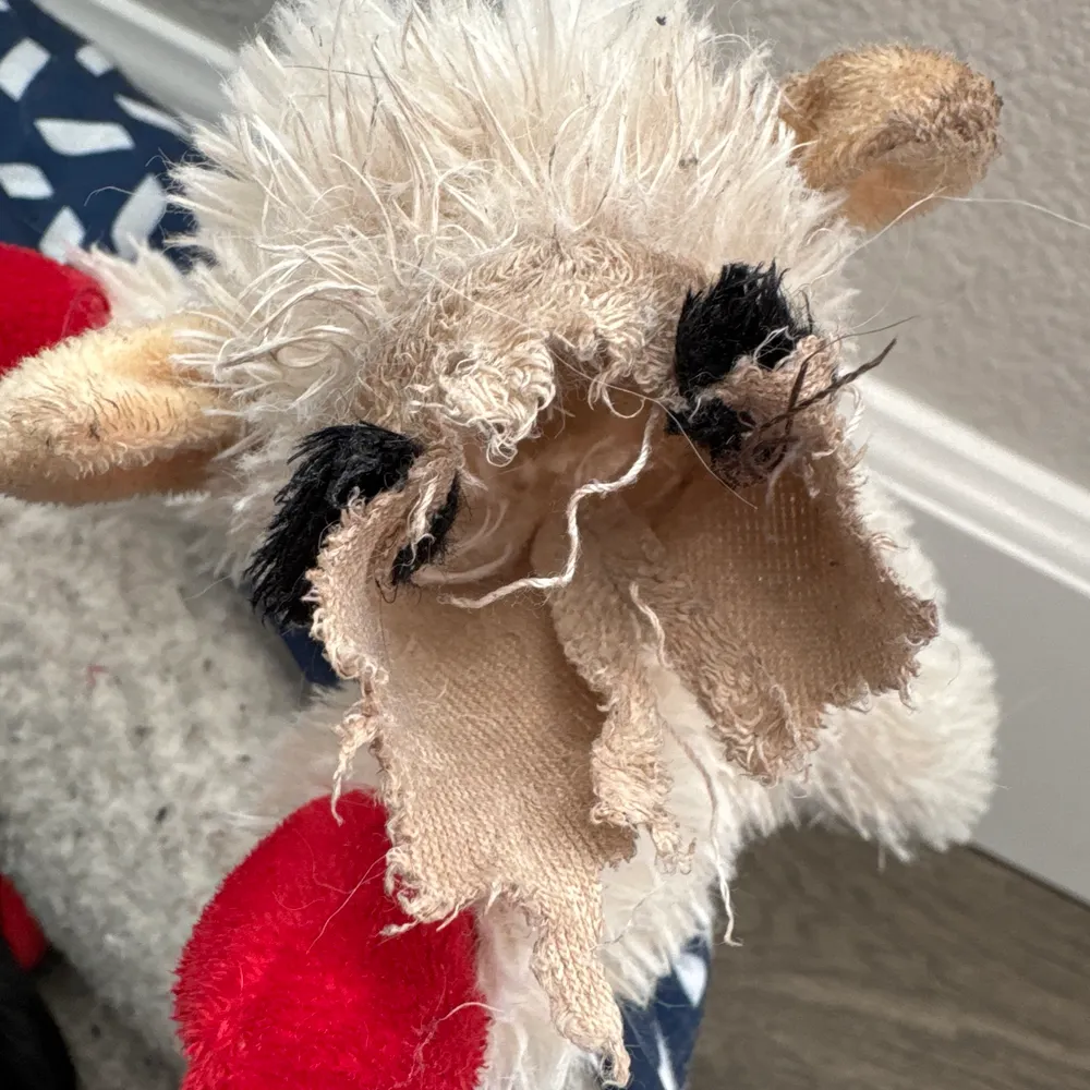 dartastic.bsky.social's profile picture