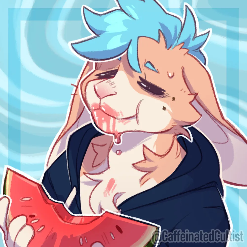 pixel-paws.bsky.social's profile picture