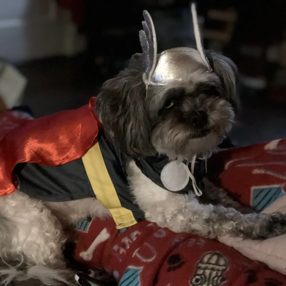 djoslyn.bsky.social's profile picture