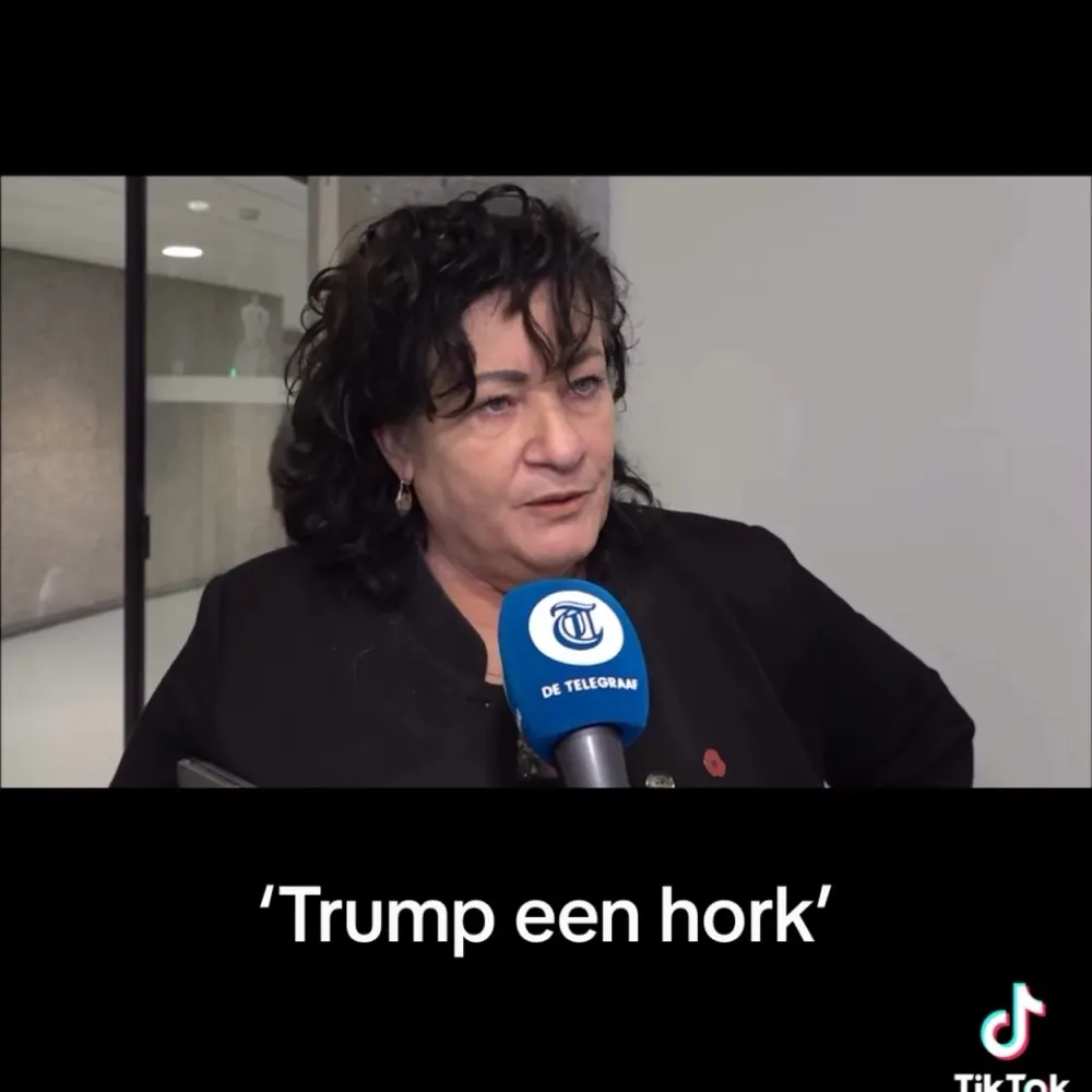 anonlis.bsky.social's profile picture