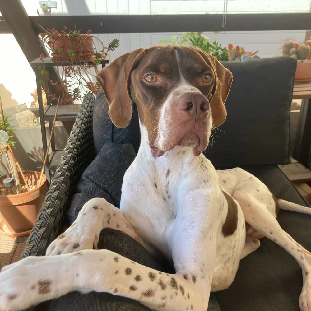 mrshilary.bsky.social's profile picture