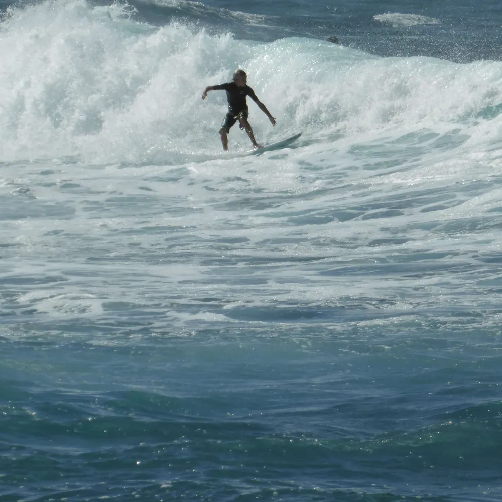 phasor129.bsky.social's profile picture