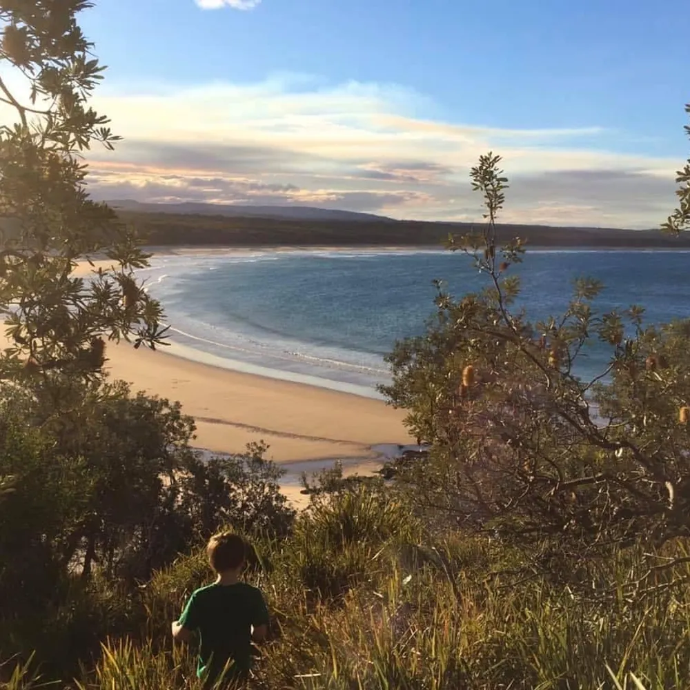 crumbledshortbread.bsky.social's profile picture