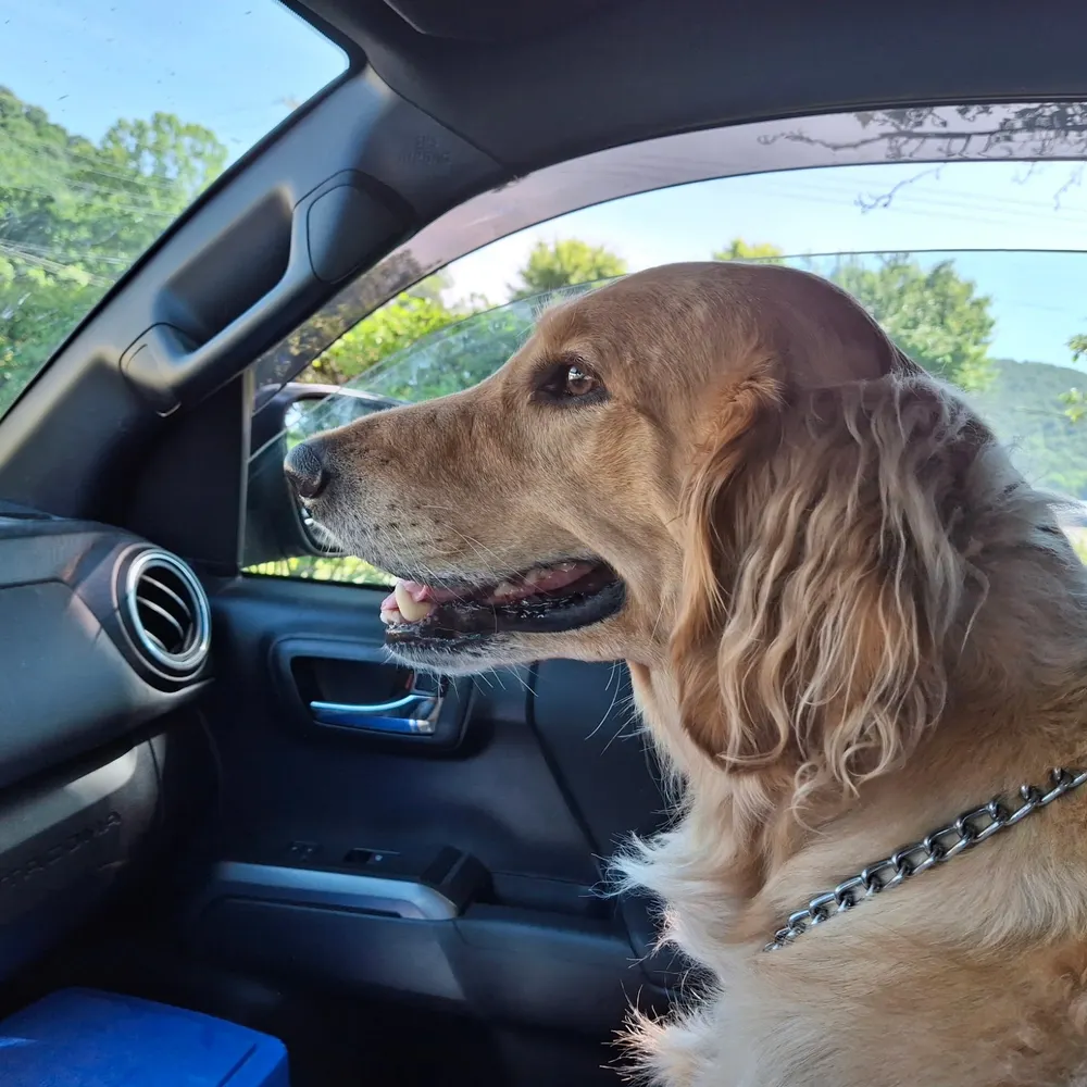 slb-7.bsky.social's profile picture