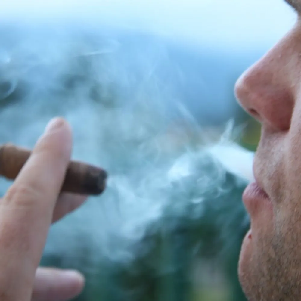 coreyogden.bsky.social's profile picture