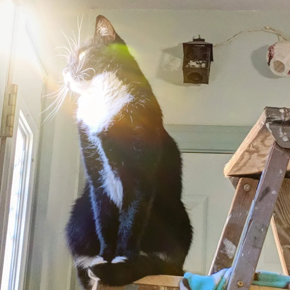 beauweevil.bsky.social's profile picture