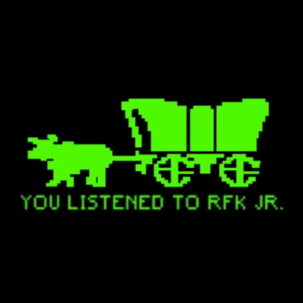 nasirum.bsky.social's profile picture