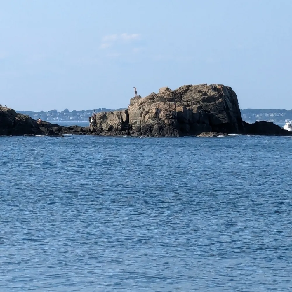 etallison.bsky.social's profile picture