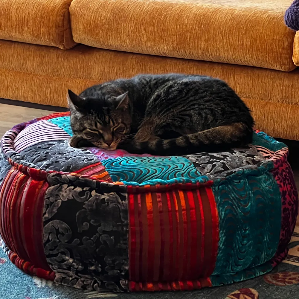 constancewilds.bsky.social's profile picture