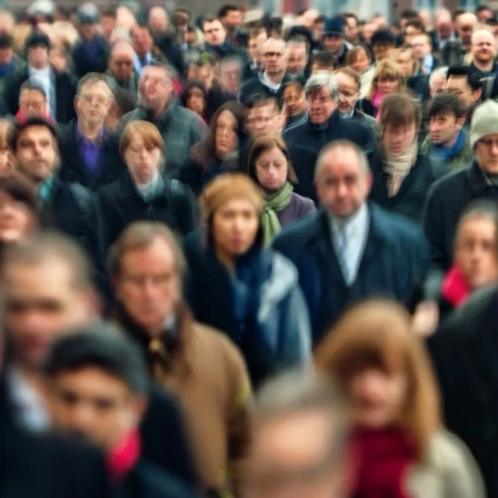 djessup.bsky.social's profile picture