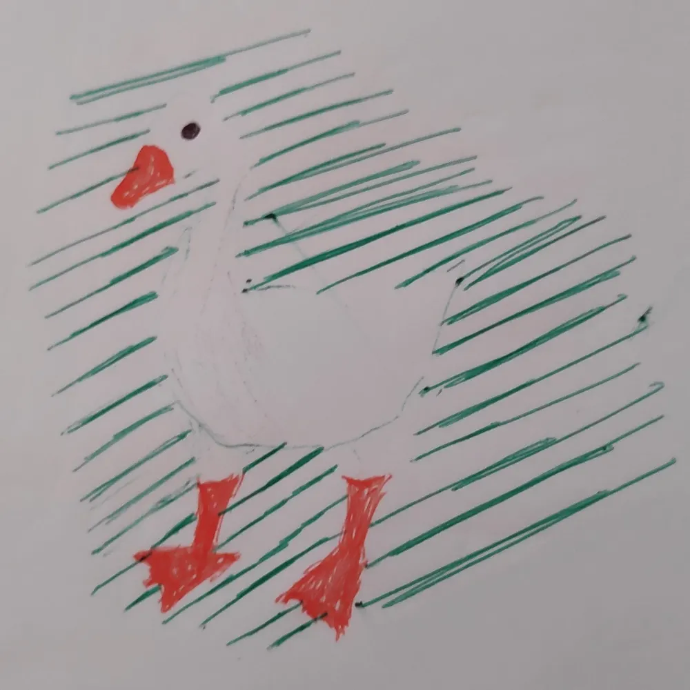 fracassio.bsky.social's profile picture