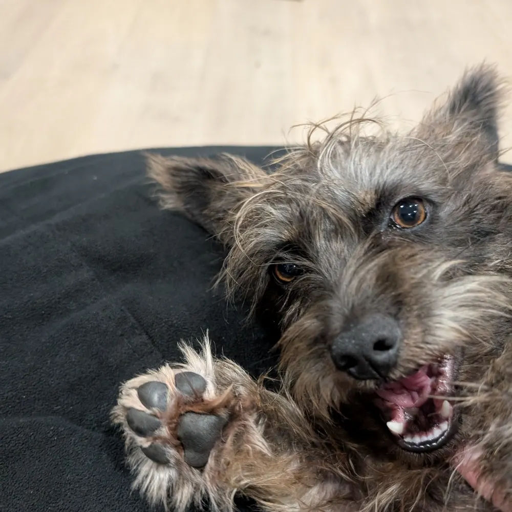 ditman.bsky.social's profile picture