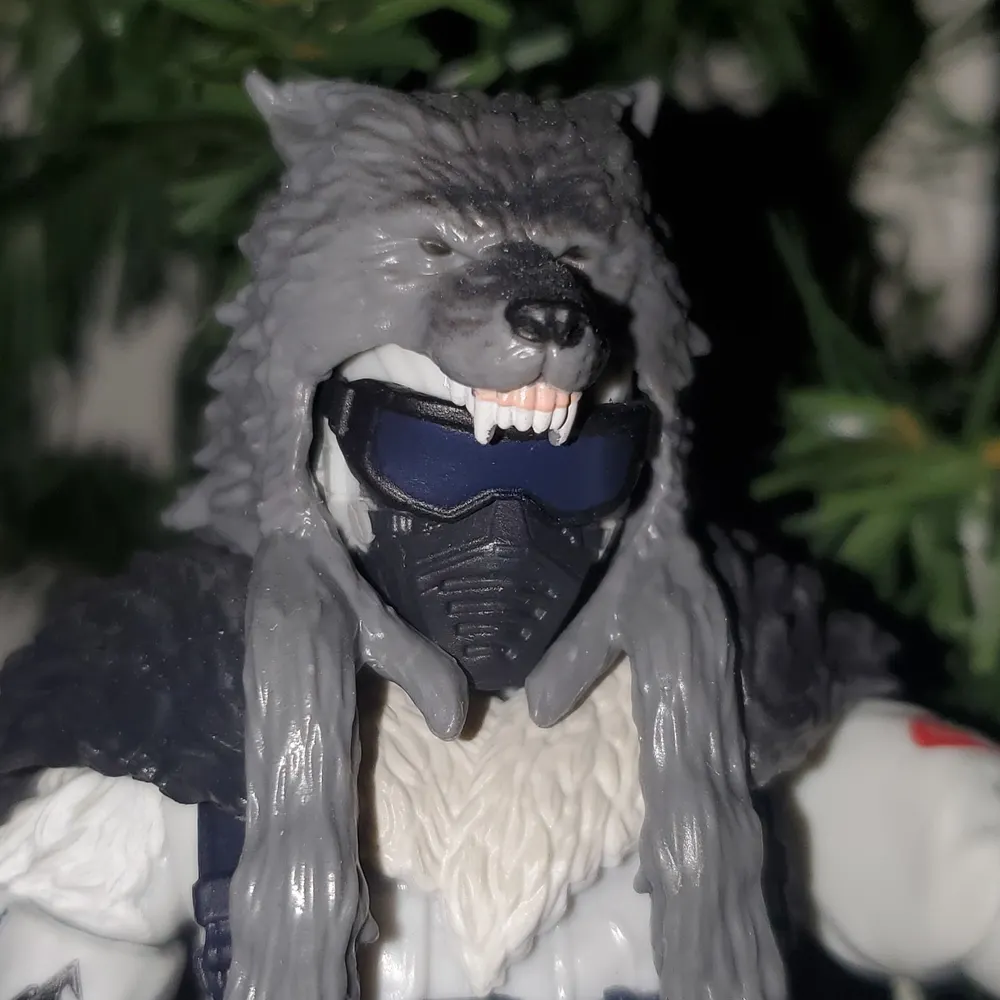 mrwolf12000.bsky.social's profile picture