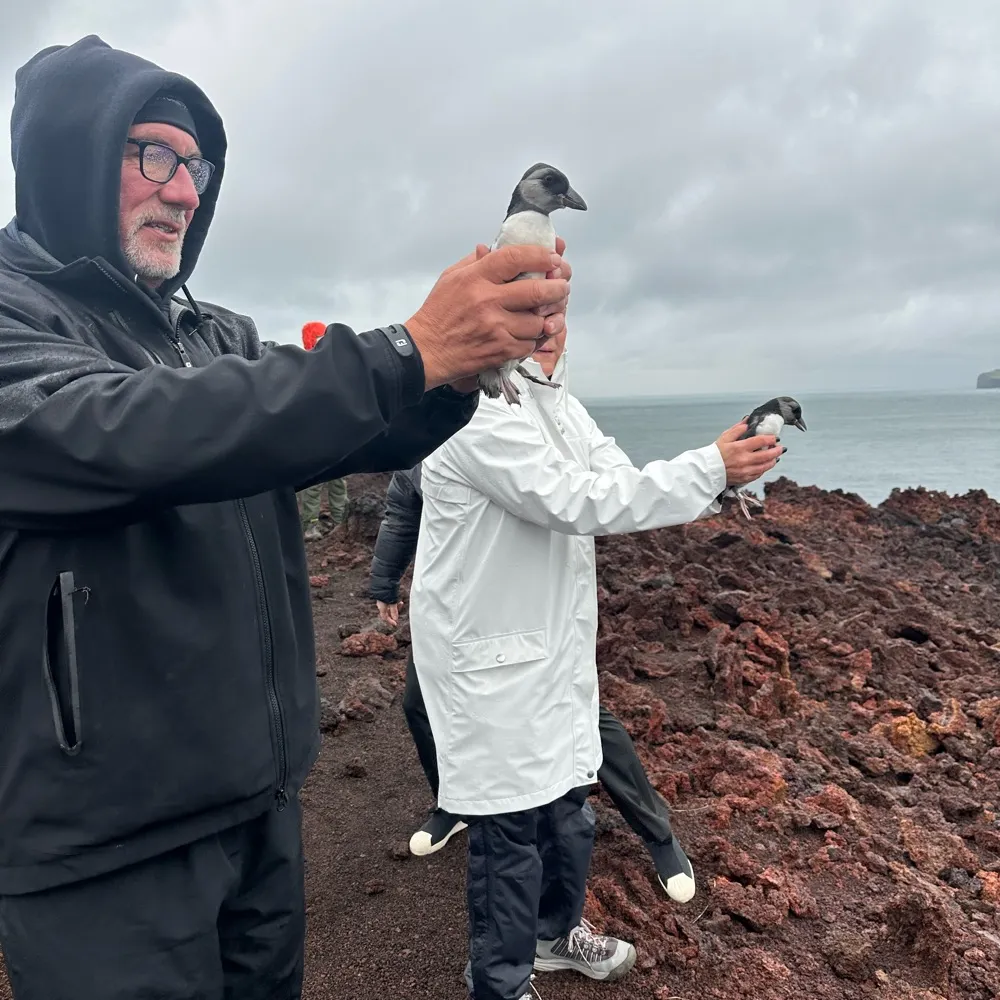 idwagner.bsky.social's profile picture