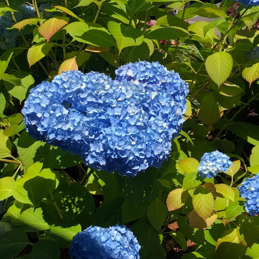 paula707.bsky.social's profile picture