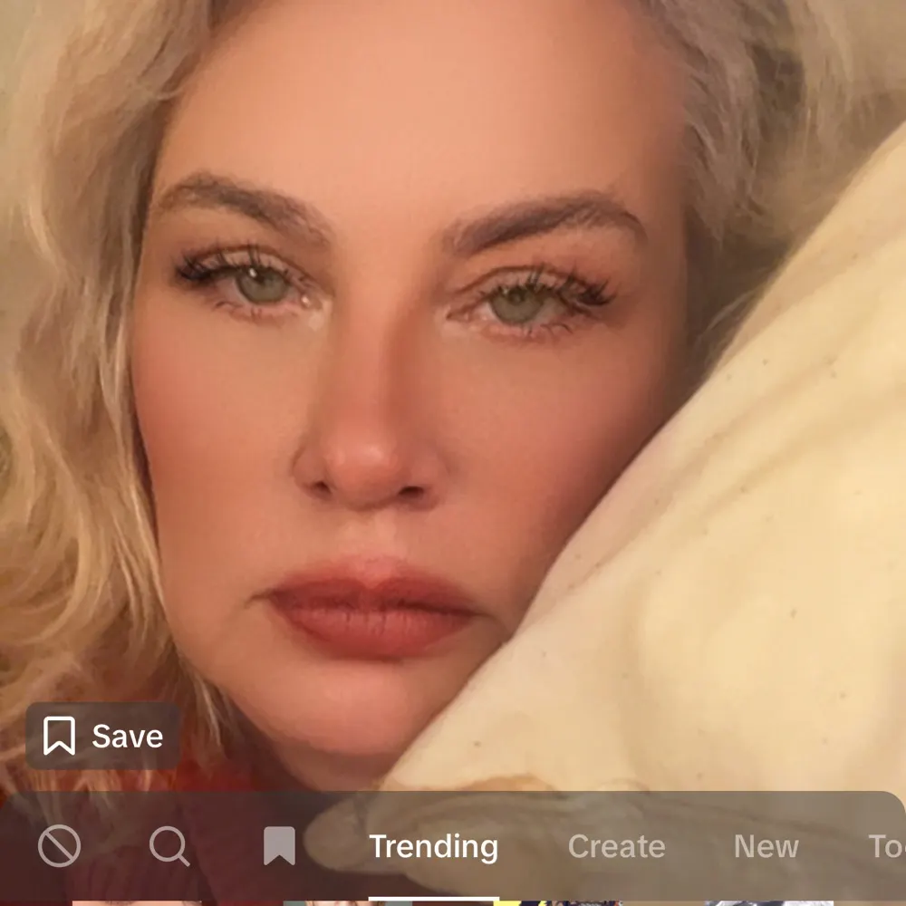 felinefury.bsky.social's profile picture